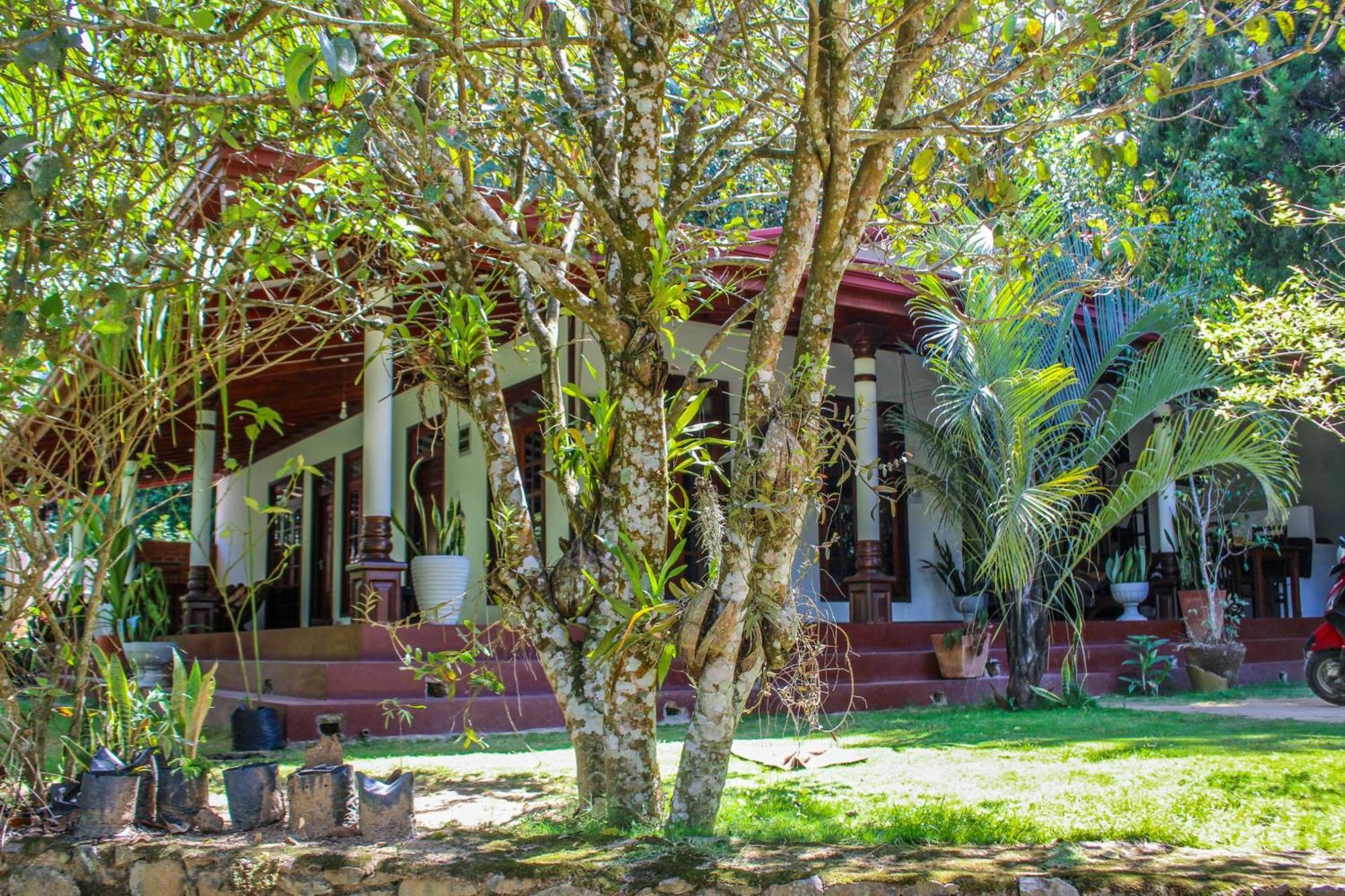 Lavender Homestay Ела Екстериор снимка